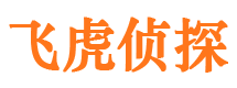 霞山外遇调查取证